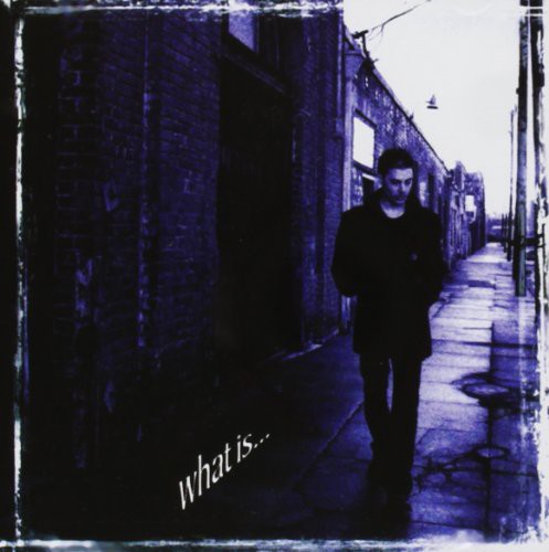 Richie Kotzen - What Is vinyl record cover