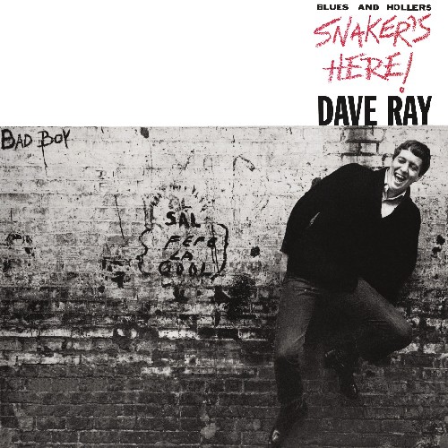 Dave Ray - Snaker's Here vinyl record cover
