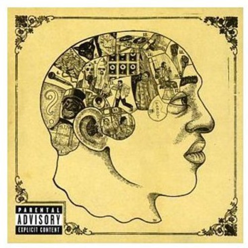 Roots - Phrenology