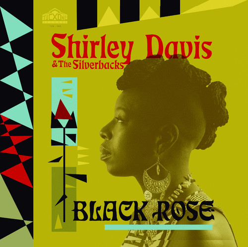 Shirley Davis / Silverbacks - Black Rose