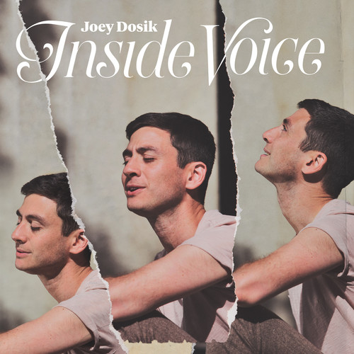 Joey Dosik - Inside Voice vinyl record cover