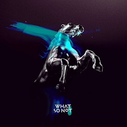 What So Not - Not All The Beautiful Things vinyl record cover