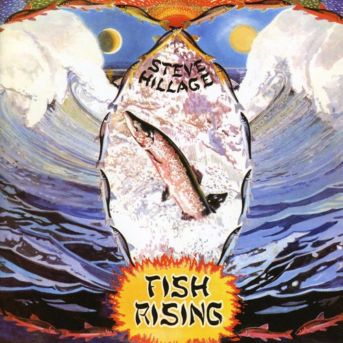 Steve Hillage - Fish Rising vinyl record cover