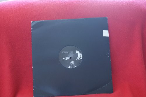 Alter Ego - Why Not?! vinyl record cover