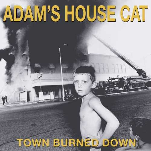 Adam's House Cat - Town Burned Down vinyl record cover