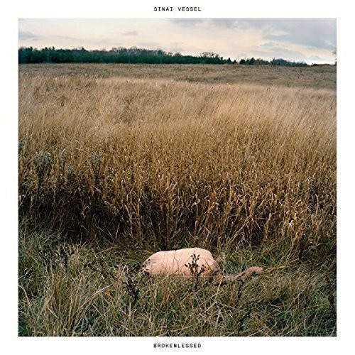 Sinai Vessel - Brokenlegged vinyl record cover
