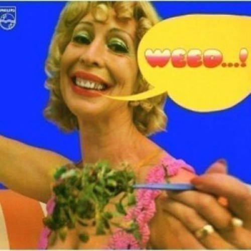 Weed - Weed vinyl record cover