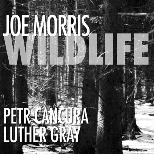 Joe Morris Trio (Guitar) - Wildlife