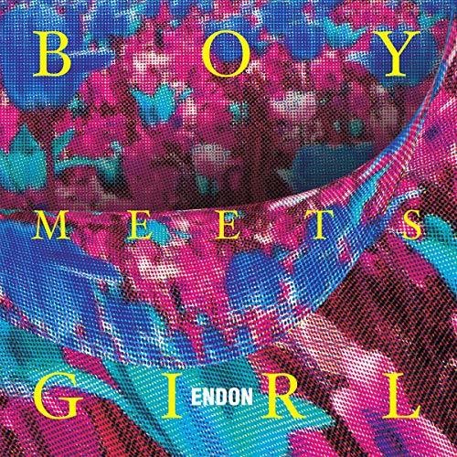 ENDON - Boy Meets Girl vinyl record cover