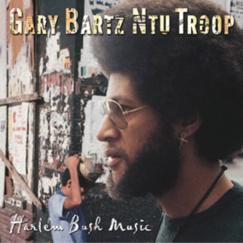 Harlem Bush Music