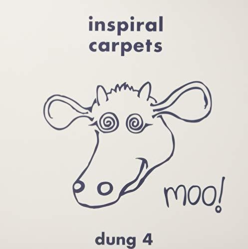 Dung 4
