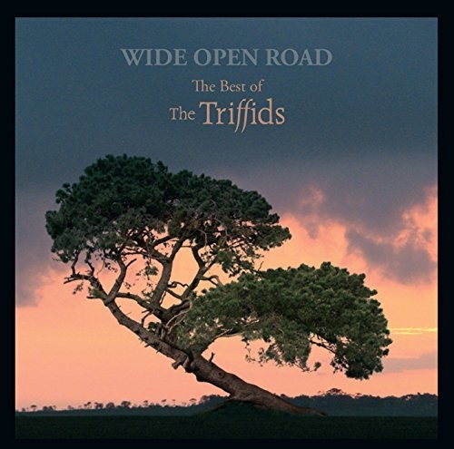 Wide Open Road: The Best Of The Triffids