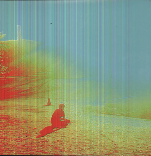 The Flaming Lips - The Terror vinyl record cover