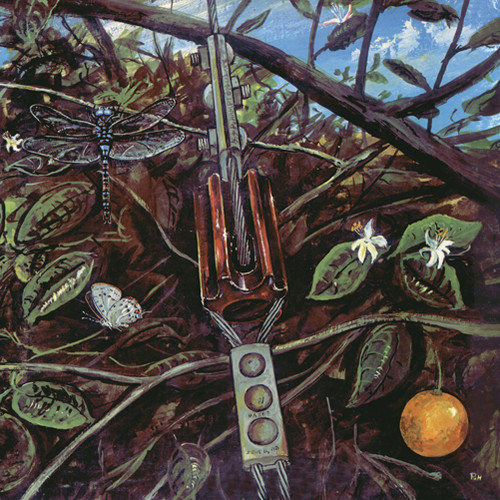 Dragonfly - Dragonfly vinyl record cover