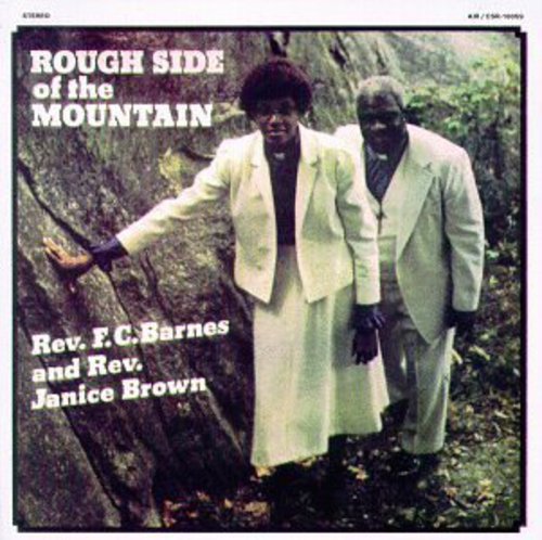 Barnes/Brown - Rough Side of the Mountain