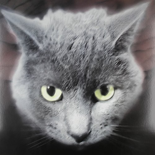 Bastards Of Fate - Who's a Fuzzy Buddy vinyl record cover
