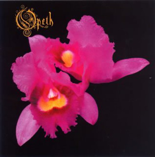 Orchild