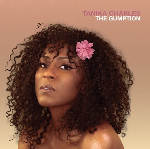 Tanika Charles - The Gumption vinyl record cover