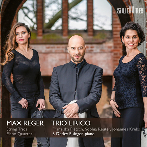 Reger / Eisinger - Complete String Trios & Piano Quartet in a Minor vinyl record cover