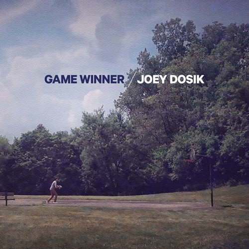 Joey Dosik - Game Winner vinyl record cover