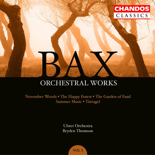 Orchestral Works 3