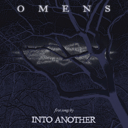 Into Another - Omens vinyl record cover