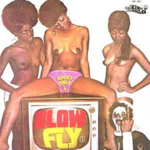 Blow Fly on TV