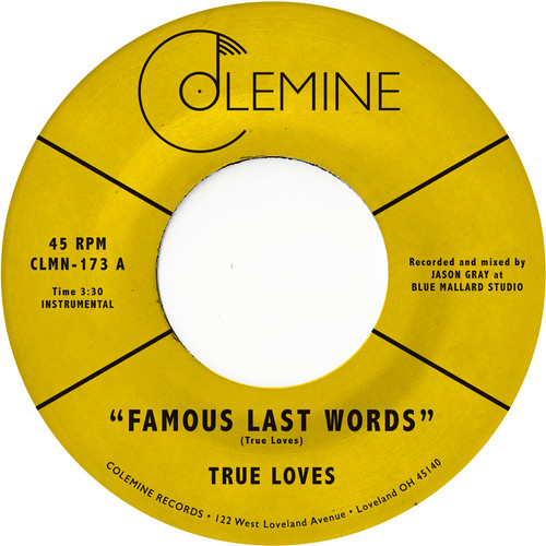 The True Loves - Famous Last Words vinyl record cover