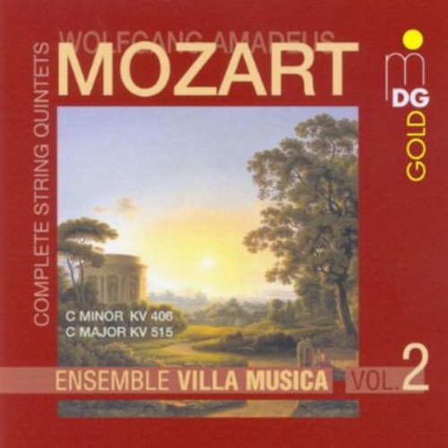 Ensemble Villa Musica - String Quintet C minor