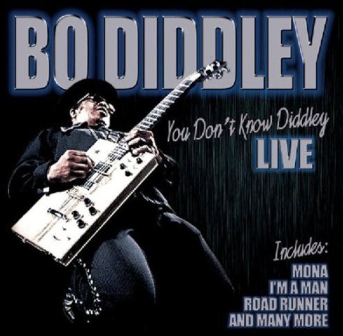 You Don't Know Diddley