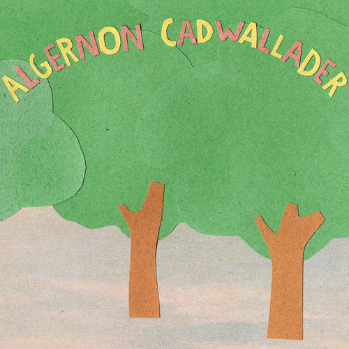 Algernon Cadwallader - Some Kind of Cadwallader vinyl record cover