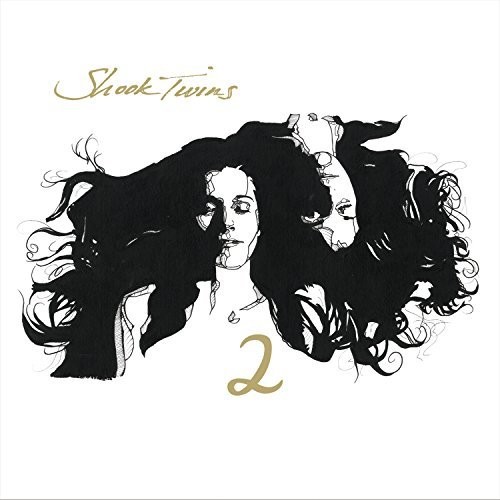 Shook Twins - 2 vinyl record cover