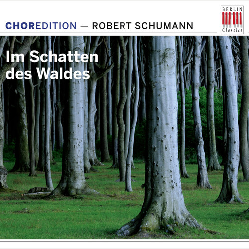 Im Schatten Des Waldes