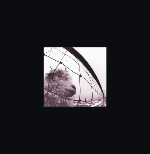 Pearl Jam - Vs./Vitalogy (Featuring Live At The Orp