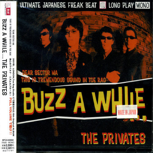 Buzz a While