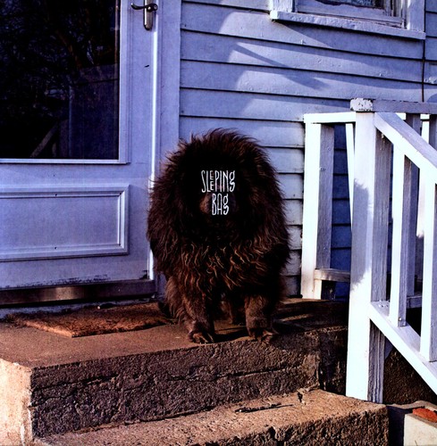Sleeping Bag - Sleeping Bag vinyl record cover