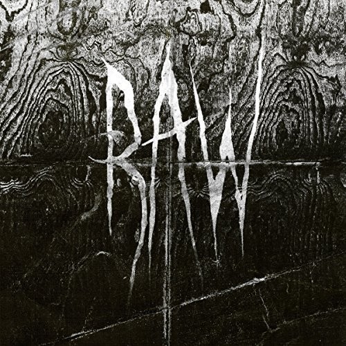 Raw - From The First Glass To The Grave vinyl record cover
