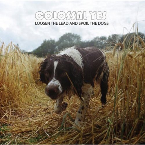 Colossal Yes - Loosen The Lead and Spoil The Dogs