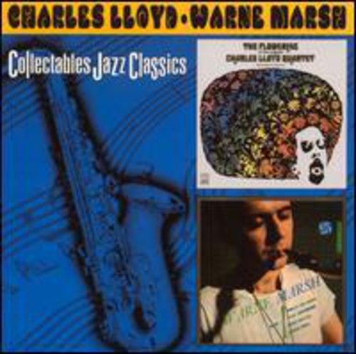Flowering / Warne Marsh