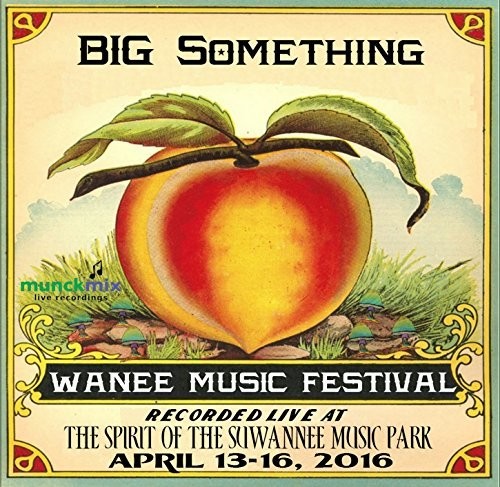 Live At Wanee 2016