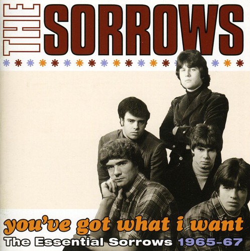 You've Got What I Want-The Essential Sorrows 1965-