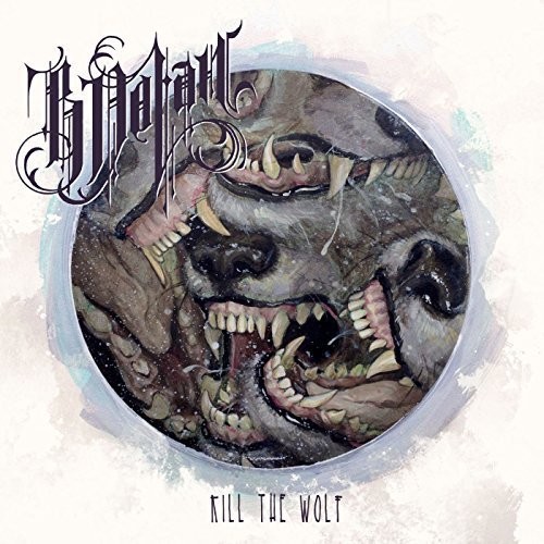 B. Dolan - Kill the Wolf vinyl record cover