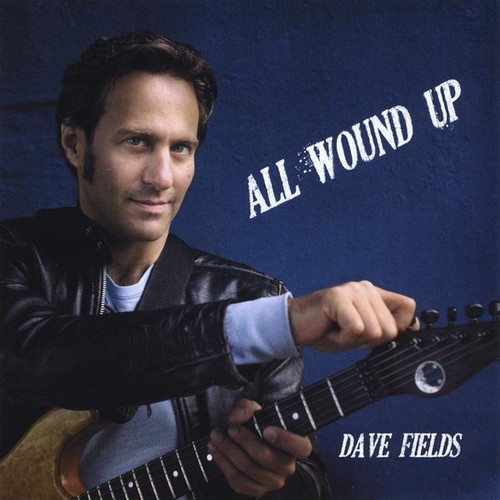 Dave Fields - All Wound Up vinyl record cover