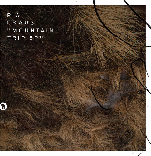 Mountain Trip (Ep)