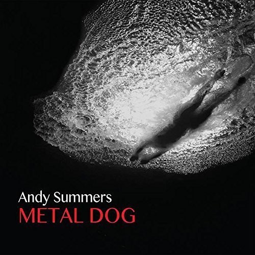 Metal Dog