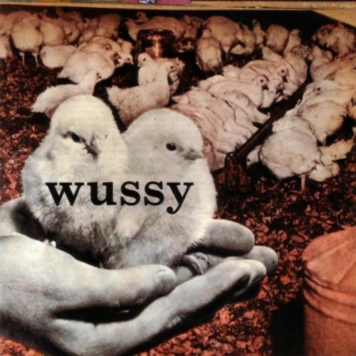 Wussy