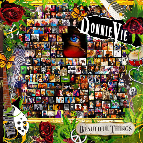 Donnie Vie - Beautiful Things vinyl record cover