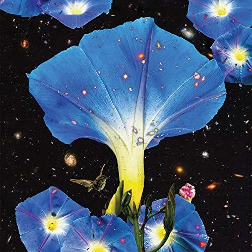 Sarah Louise - Nighttime Birds And Morning Stars vinyl record cover