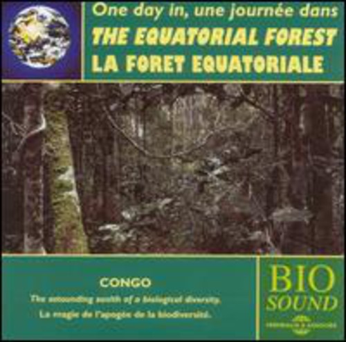 The Equatorial Forest
