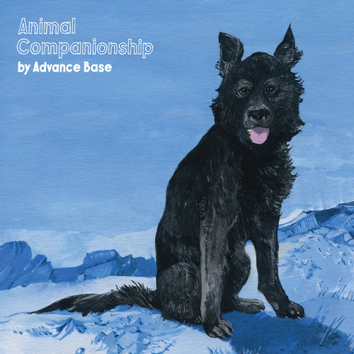 Advance Base - Animal Companionship vinyl record cover